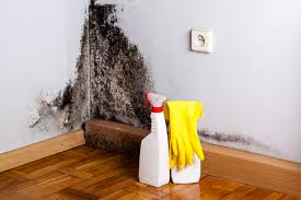 Dehumidification Services in Chesterland, OH